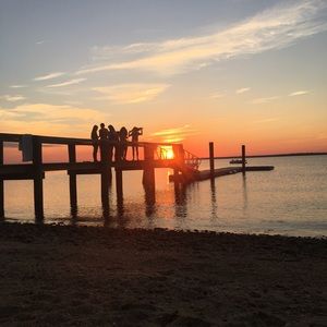 Meet your Posher, Sadie